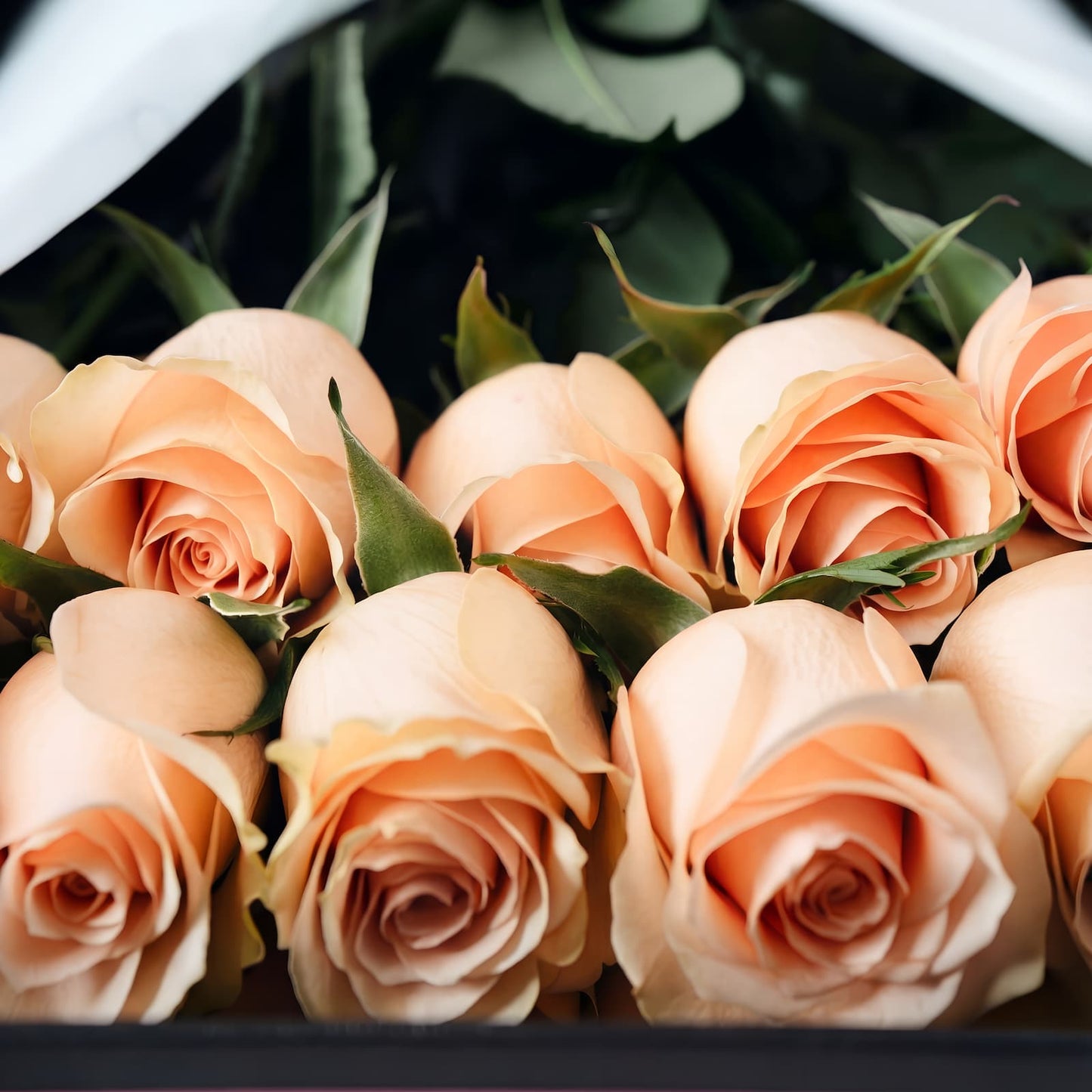 Premium-Box mit pfirsichfarbenen Rosen