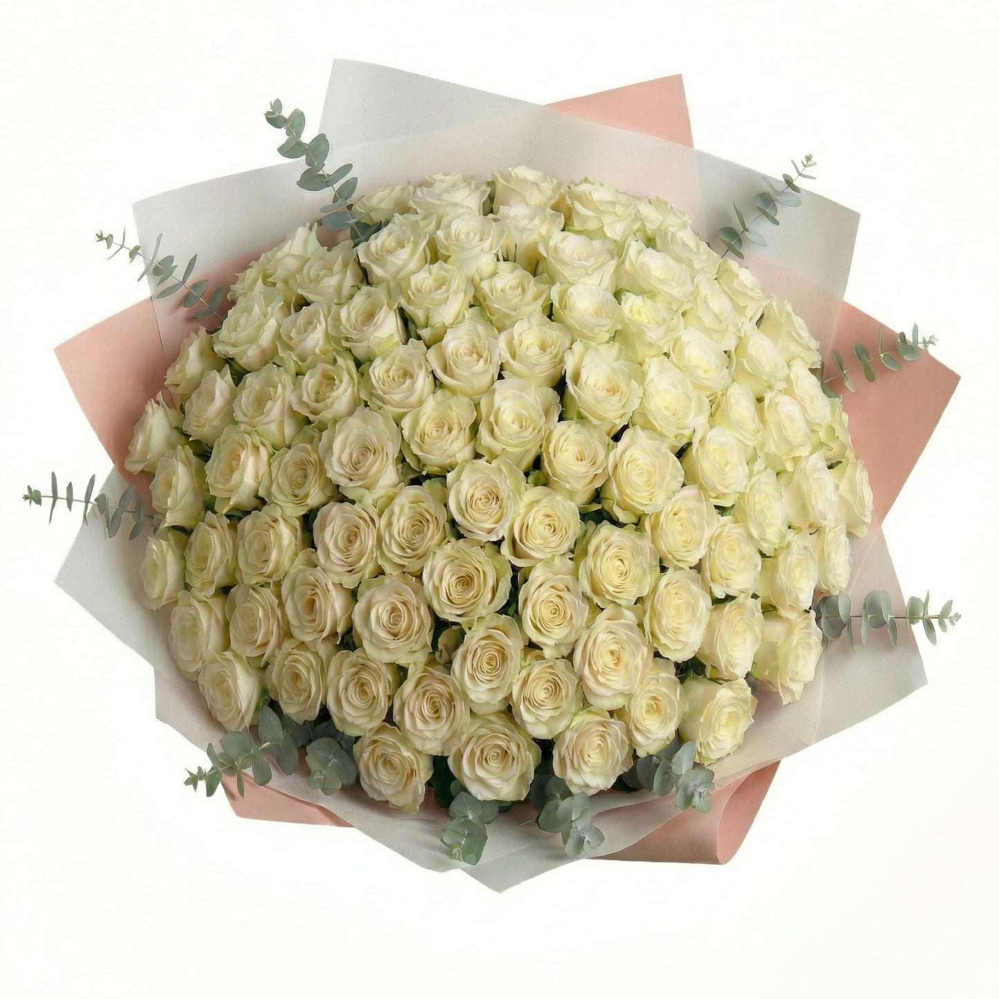 High-End-Strauß mit 100 weißen Rosen