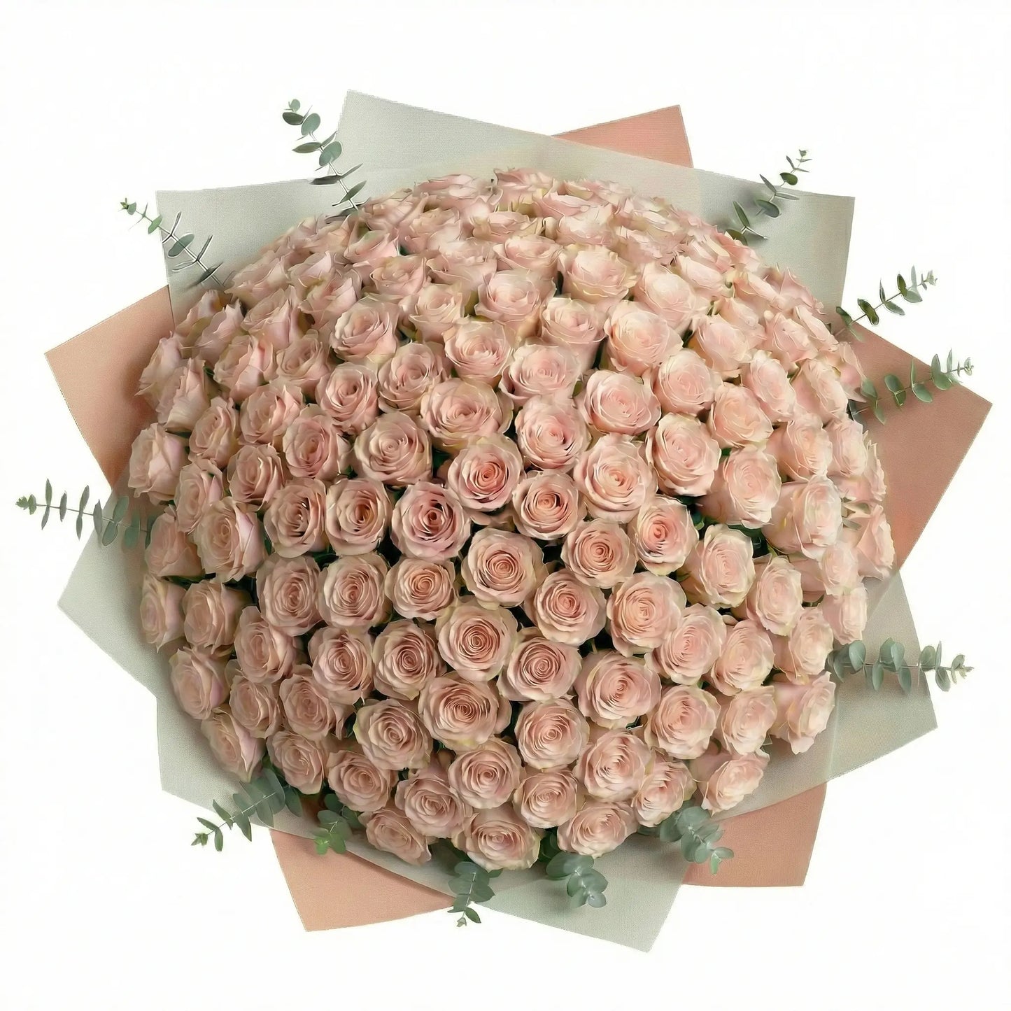 High-End Bouquet of 100 Pink Roses